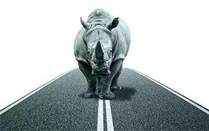 臣通觀點(diǎn)丨小心，中國(guó)產(chǎn)業(yè)園區(qū)的“灰犀?！庇謥?lái)了！